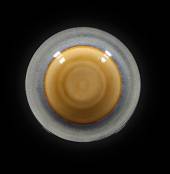 Тарелка для пасты 550 мл 268мм Corone Celeste синий+коричневый HL900650+ZY1978E12  фк0804