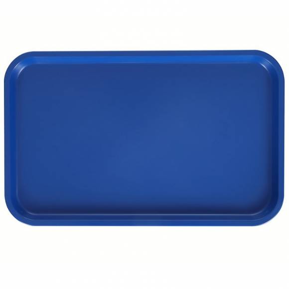 Поднос прямоугольный 53х33см синий [2775-1]