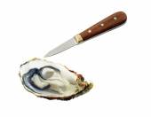 Нож для устриц 60/160 мм. ручка дерев. Tellier N4172 Нож для устриц 60/160 мм. ручка дерев. Tellier N4172