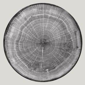 Тарелка круглая 290мм RAK Woodart WDNNPR29BG /1/12/ Тарелка круглая 290мм RAK Woodart WDNNPR29BG /1/12/