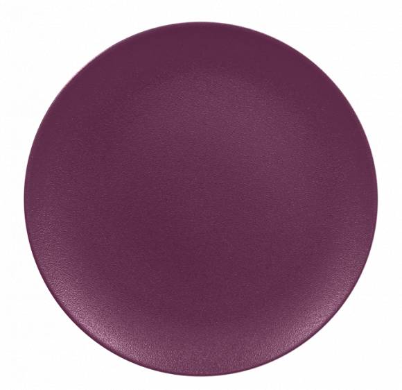 Тарелка плоская без полей 240мм RAK Porcelain Neo Fusion Mellow фарфор фиолетовый NFNNPR24PP /6/