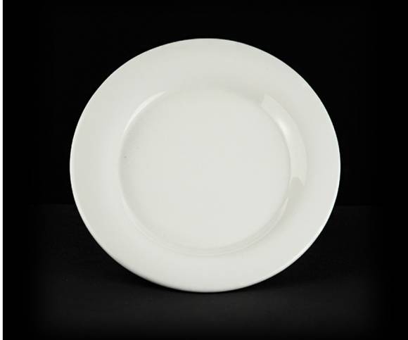 Тарелка мелкая 240мм с полями Sam and Squito (Classic) JXA389-10 фк812