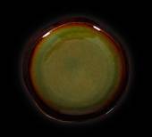 Тарелка мелкая 150мм Corone Verde синий+зеленый HL496930 фк0704