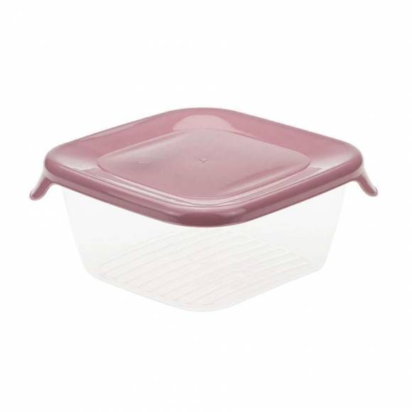 Контейнер для продуктов 0,25л "Практик" разноцветный