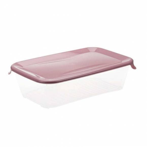 Контейнер для продуктов 0,5л "Практик" разноцветный 170x125x45