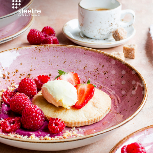 Серия Крафт распберри Steelite (Англия)